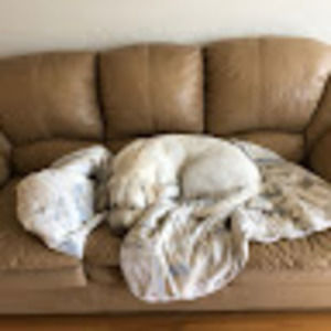 Meet your Posher, Vanessa